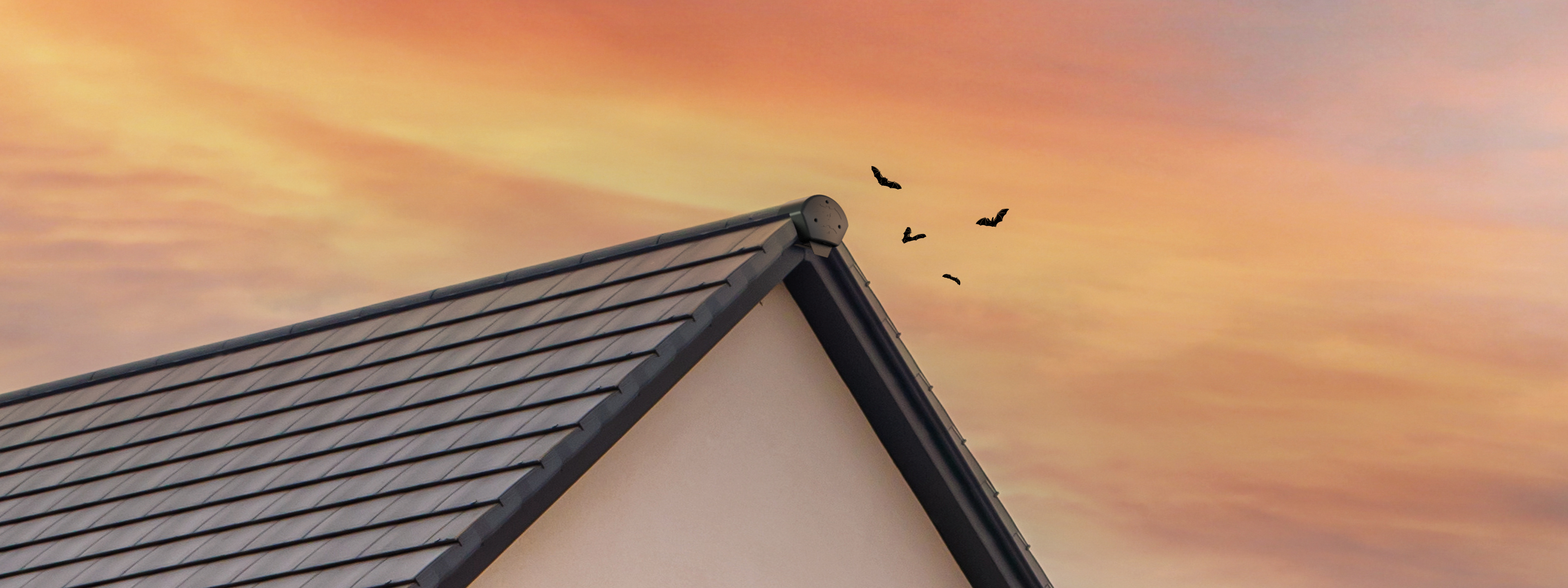 BatRoost_Subcat_Banner.png