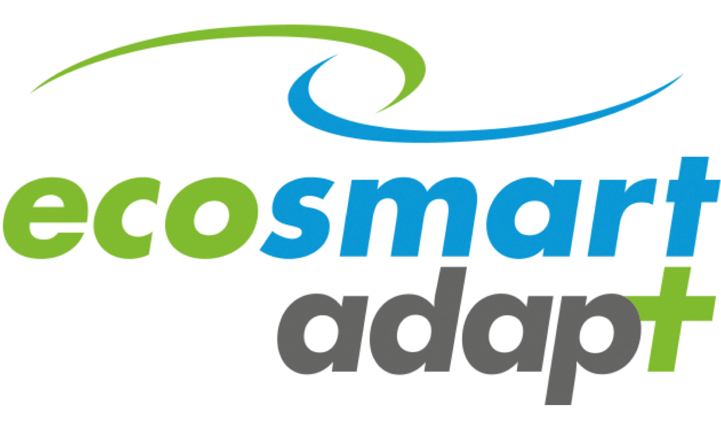 Ecosmart Adapt Logo