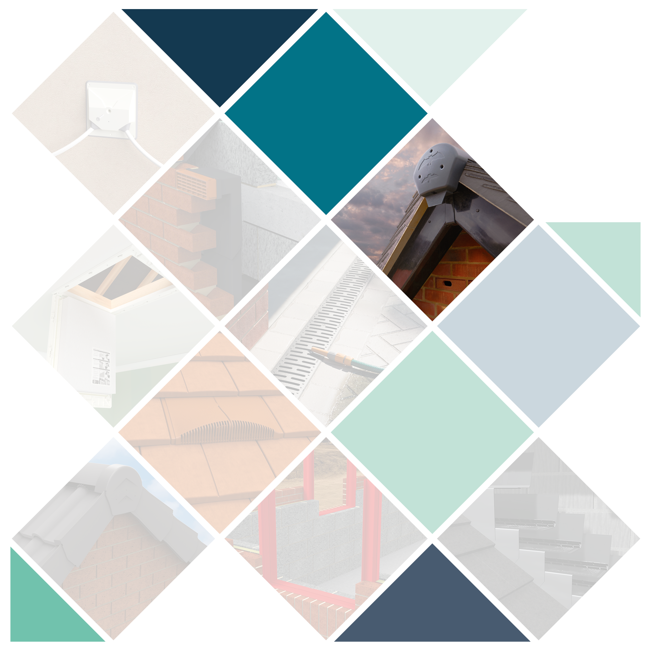 Homepage Mixed Category Image - Biodiversity.png