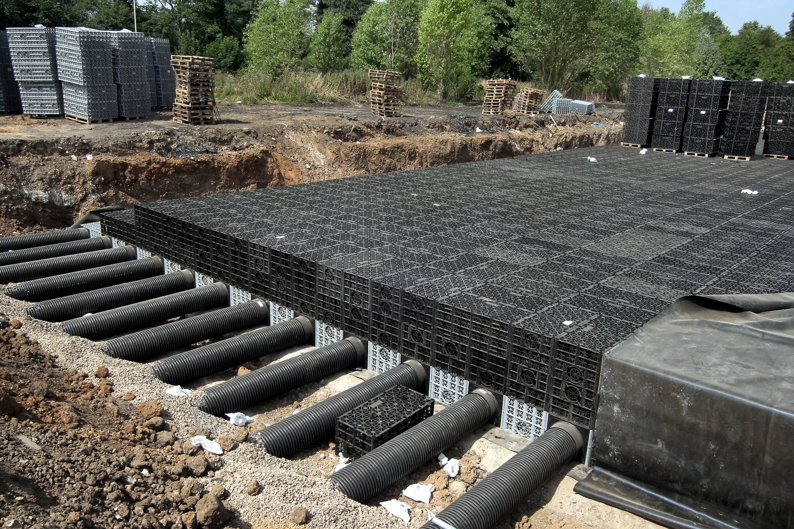 Polystorm Installation Image (2).jpg