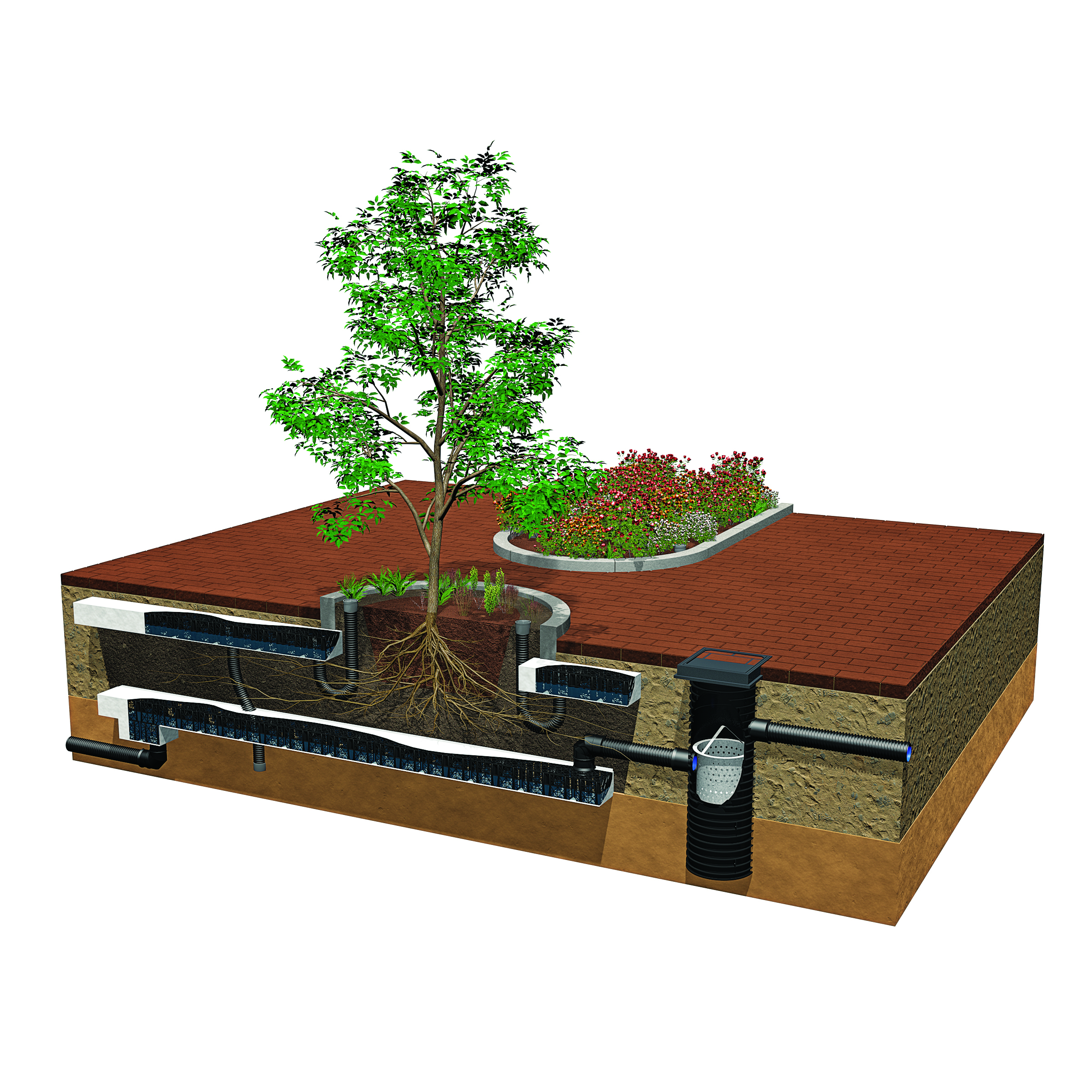 Tree boxes and root protection.jpg